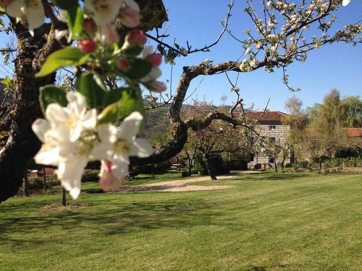 Les Jardins D'Anna - Chambres D'Hotes Tapon エクステリア 写真